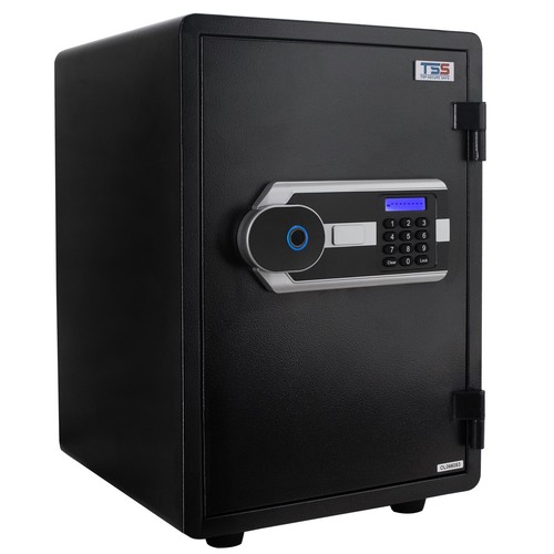 Digital biometric fireproof - digital,